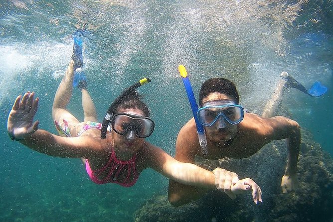 Kayak & Snorkel Tour in Cerro Gordo Natural Park, La Herradura - Meeting point near Almuñécar: don’t cut it close