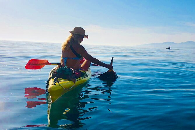 Kayak & Snorkel Tour in Cerro Gordo Natural Park, La Herradura - Snorkeling stops: clear moments, cave possibilities, and realistic expectations