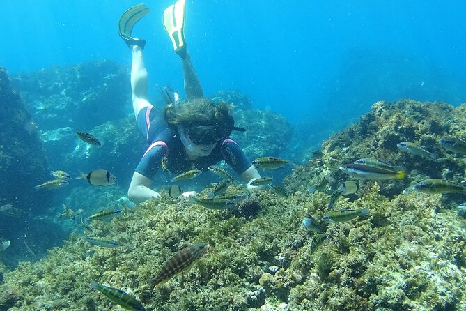 Kayak & Snorkel Tour in Cerro Gordo Natural Park, La Herradura - How the guides make or break it (Sebastian, Cody, George, and more)
