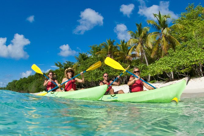 Kayak & Snorkel with Sea Turtles, National Park, St. John - Key highlights