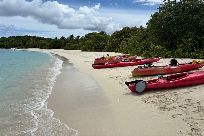 Kayak & Snorkel with Sea Turtles, National Park, St. John - Turtle Point hike: shade, plants, and island viewpoints