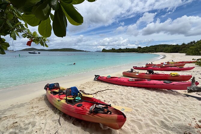 Kayak & Snorkel with Sea Turtles, National Park, St. John - Value at $119: why this one costs what it costs