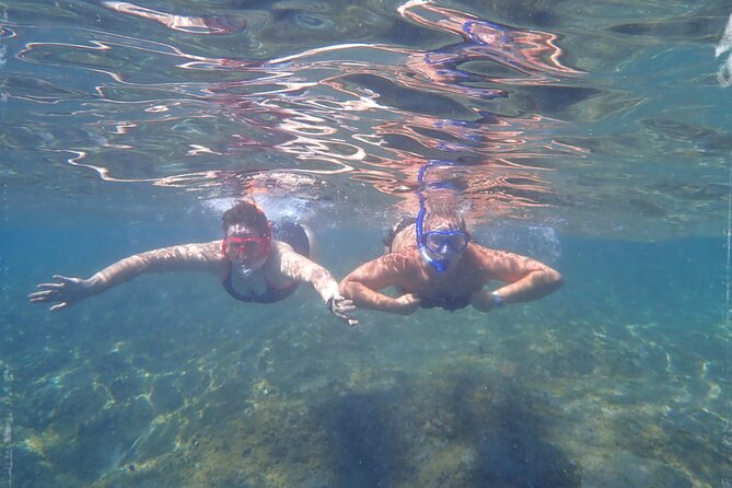 Kayak & Snorkeling Tour in Caves in Mogan - Paddling past white cliffs with geology that actually helps