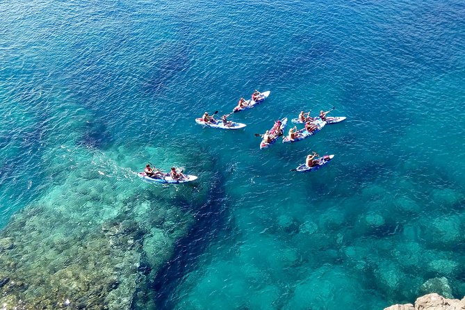 Kayak & Snorkelling in Papagayo - Price and Value: Is $62 Worth It?