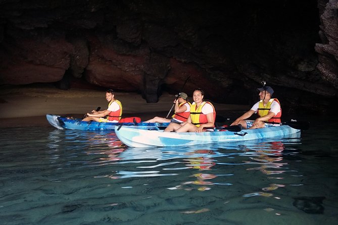 Kayak & Snorkelling in Papagayo - Playa de Papagayo Snorkeling: What You’ll Actually See