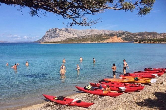 Kayak Tour with Snorkeling and Local Aperitif - Price check: is $66.54 good value?
