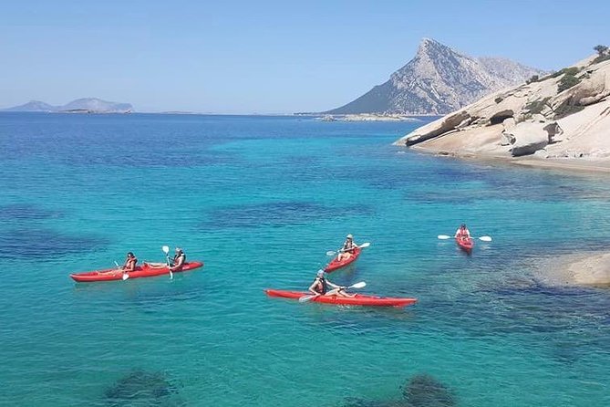 Kayak Tour with Snorkeling and Local Aperitif - Should you book this kayak and snorkeling tour from Olbia?