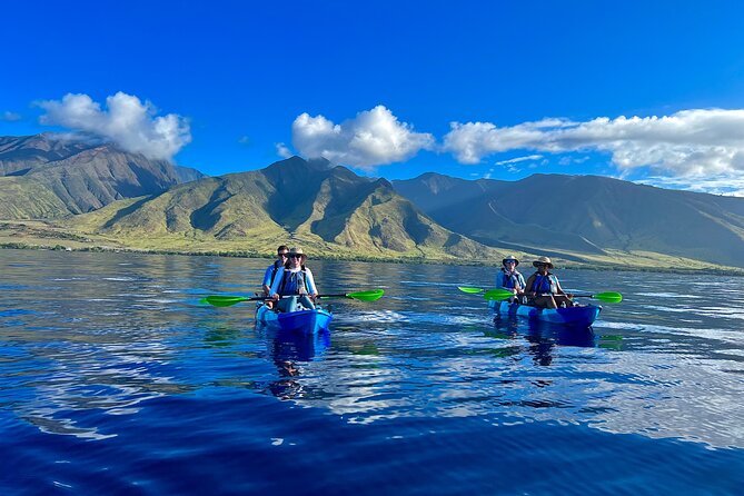 Kayak & Turtle Town Snorkel(Turtles Guaranteed) + Whale Watching - Key things that make this tour worth your time