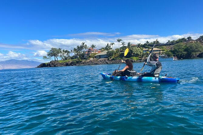 Kayak & Turtle Town Snorkel(Turtles Guaranteed) + Whale Watching - Whale Watching From the Water: Realistic Odds, Great Vibes