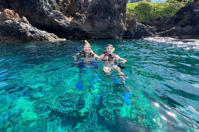 Kayak & Turtle Town Snorkel(Turtles Guaranteed) + Whale Watching - Who Should Book This Turtle-and-Whale Kayak Tour