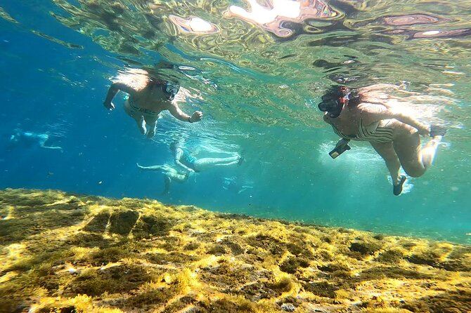 Kayaking Adventure Route with Snorkeling in Mogan Caves - Who Should Book This Kayaking + Snorkel Caves Tour