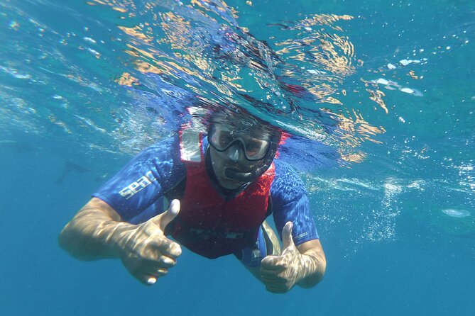Kayaking + snorkeling with turtles - Pickup around Tenerife’s south: how to plan your start
