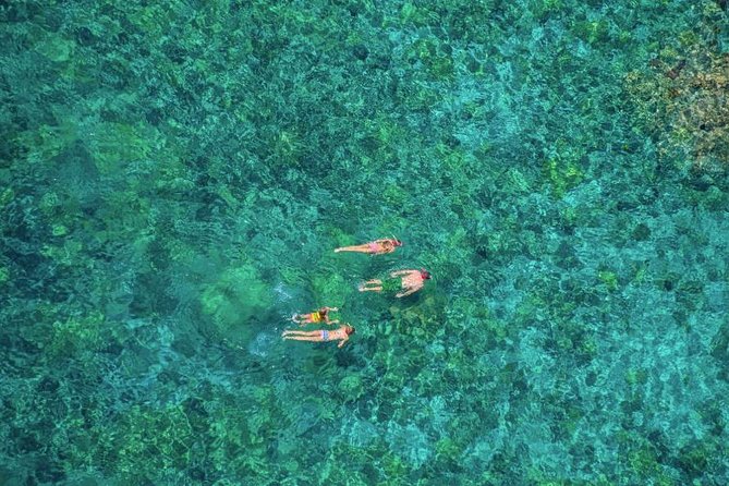Kealakekua Bay Afternoon Snorkel: Family Fun on the Kona Coast - Kealakekua Bay Marine Preserve snorkeling: what makes it work for beginners