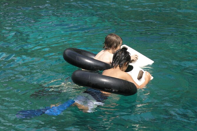 Kealakekua Bay Afternoon Snorkel: Family Fun on the Kona Coast - Who should book this Kona Coast experience