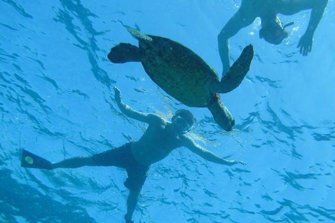 Kealakekua Bay Captain Cook Snorkel Exclusive - Kealakekua Bay Captain Cook snorkeling: why this tour works