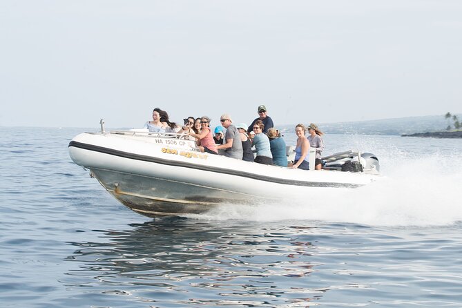 Kealakekua Bay Captain Cook Snorkel Exclusive - Wildlife chances in Kona: dolphins, sea turtles, and whales