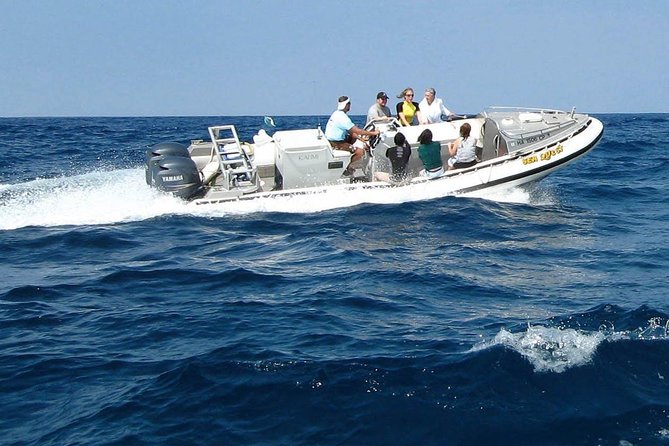 Kealakekua Bay Captain Cook Snorkel Exclusive - Price and value: what $124.87 buys you on the Big Island