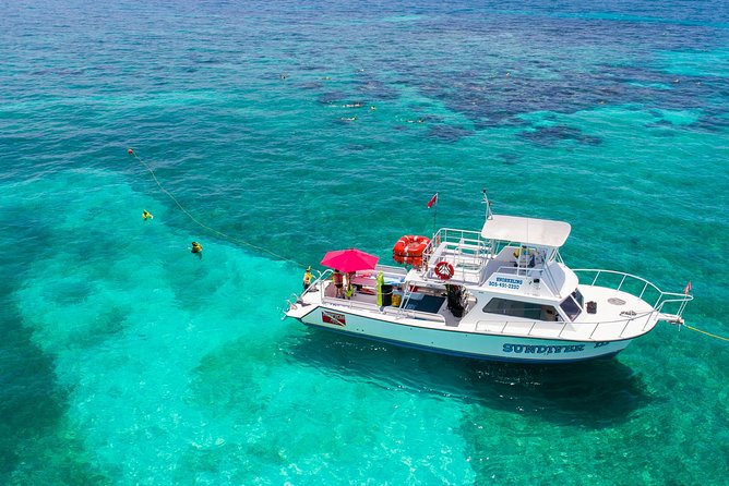 Key Largo Snorkeling Tour - rental mask, fins and vest INCLUDED - Sundiver Station Check-In: Why One Hour Matters