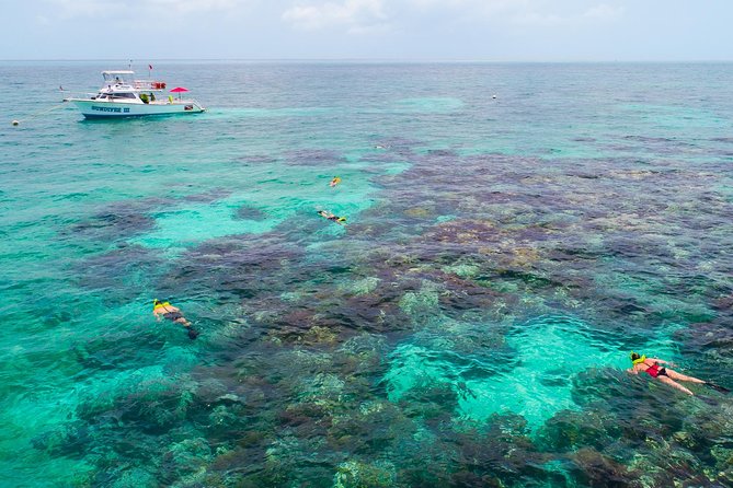 Key Largo Snorkeling Tour - rental mask, fins and vest INCLUDED - Reef Stop by Stop: What You’ll Likely Experience