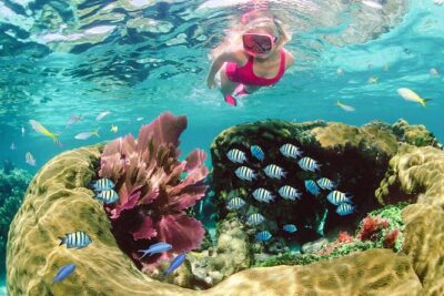 Key Largo Snorkeling Tour - rental mask, fins and vest INCLUDED - How the 2.5-Hour Program Works on the Water