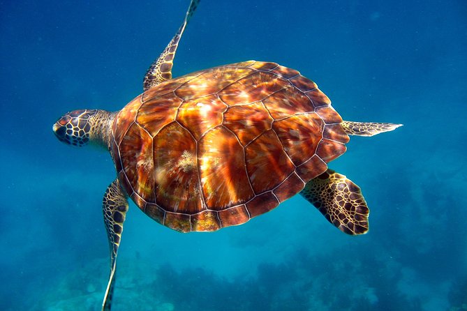 Key Largo Snorkeling Tour - rental mask, fins and vest INCLUDED - When Wind and Surf Change Everything: Plan for the Real Keys