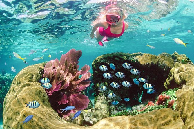 Key Largo Snorkeling Tour - rental mask, fins and vest INCLUDED - How the 2.5-Hour Program Works on the Water