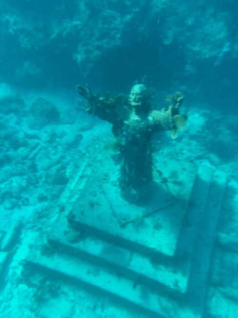 Key Largo: Snorkeling Trip - Key Largo Snorkeling at a Glance: Why This Half Day Works