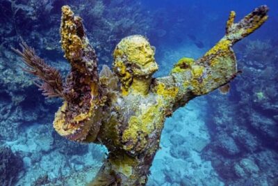 Key Largo: Snorkeling Trip - The 4-Hour Flow: Two Reef Stops, Plus Mangroves If Needed