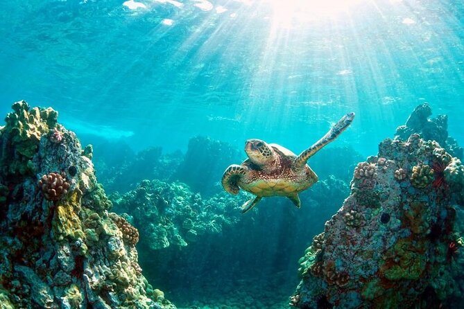 Key Largo Snorkeling Trips & Sandbar Tours - A Private Key Largo Charter With Captain Stewy and Kristine