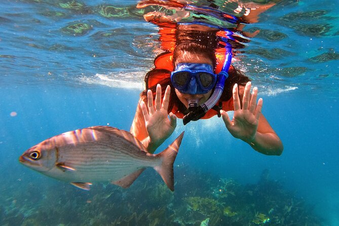 Key Largo Two Reef Snorkel Tour - All Snorkel Equipment Included! - Two reef stops in Key Largo’s protected water