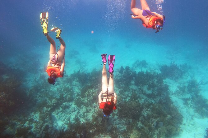 Key Largo Two Reef Snorkel Tour - All Snorkel Equipment Included! - How the timing works (and why you should show up early)