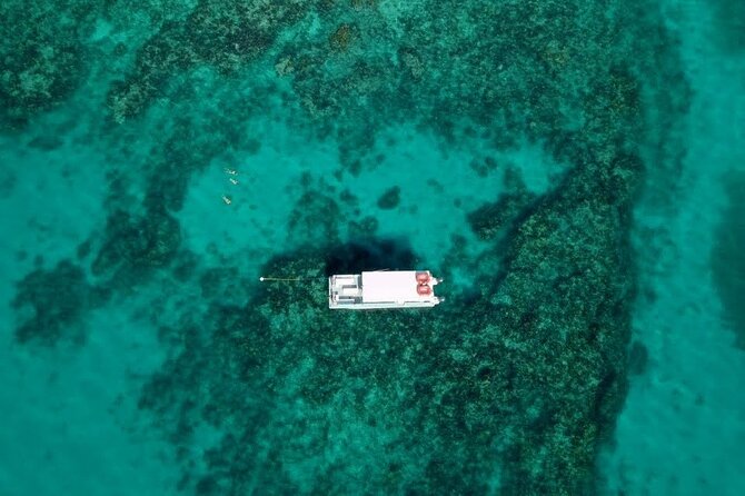 Key Largo Two Reef Snorkel Tour - All Snorkel Equipment Included! - Stop 1: Christ of the Deep, and what to look for