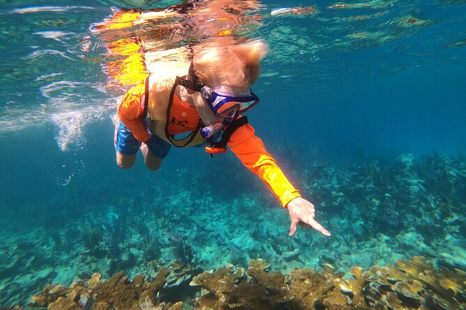 Key Largo Two Reef Snorkel Tour - All Snorkel Equipment Included! - Equipment rules and gear limits (read this before you pack)