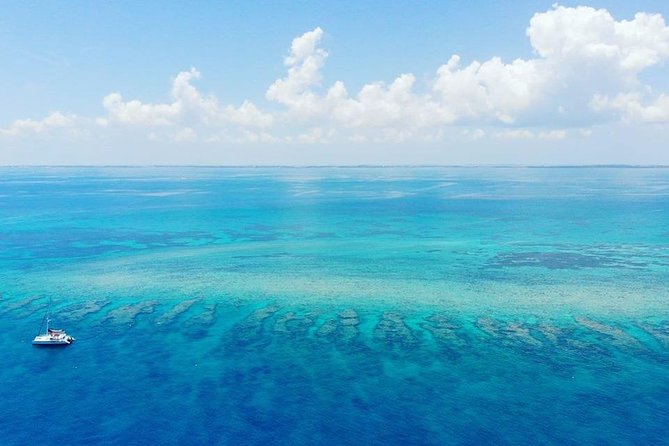 Key West 2 Reef Snorkel Tour & Sunset Cruise with Beer & Wine - Unlimited Drinks on a 3-Hour Clock