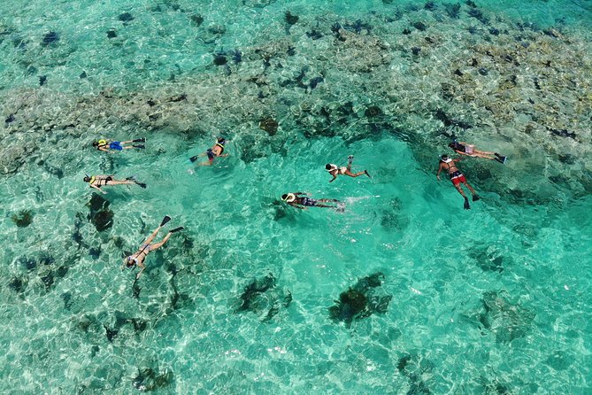 Key West 2 Reef Snorkel Tour & Sunset Cruise with Beer & Wine - Who This Trip Fits Best (And Who Might Hesitate)