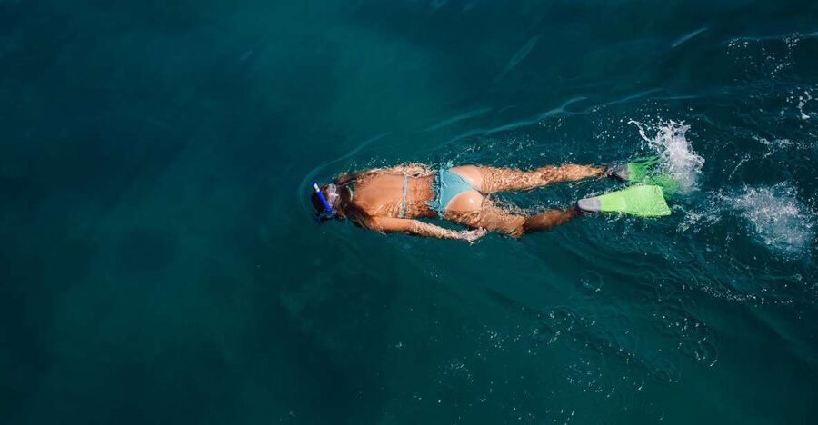 Key West: 3-Hour Afternoon Reef Snorkel with Drinks - Key West Reef Snorkel: The Smart Reasons This Trip Works