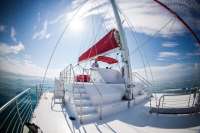 Key West: 3-Hour Afternoon Reef Snorkel with Drinks - The 3-Hour Plan: From Meeting Point to Reef to Return Drinks