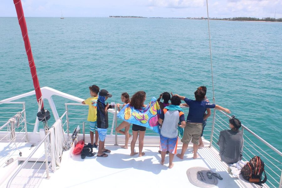 Key West: 3-Hour Afternoon Reef Snorkel with Drinks - Don’t Ignore the Small Group Comfort Point