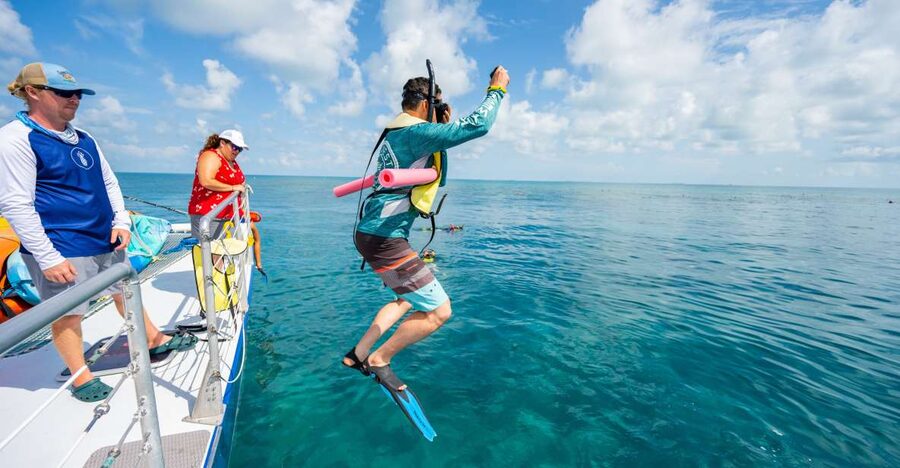 Key West: Afternoon Reef Snorkel Tour with Open Bar - Why this 3-hour afternoon reef snorkel works in Key West