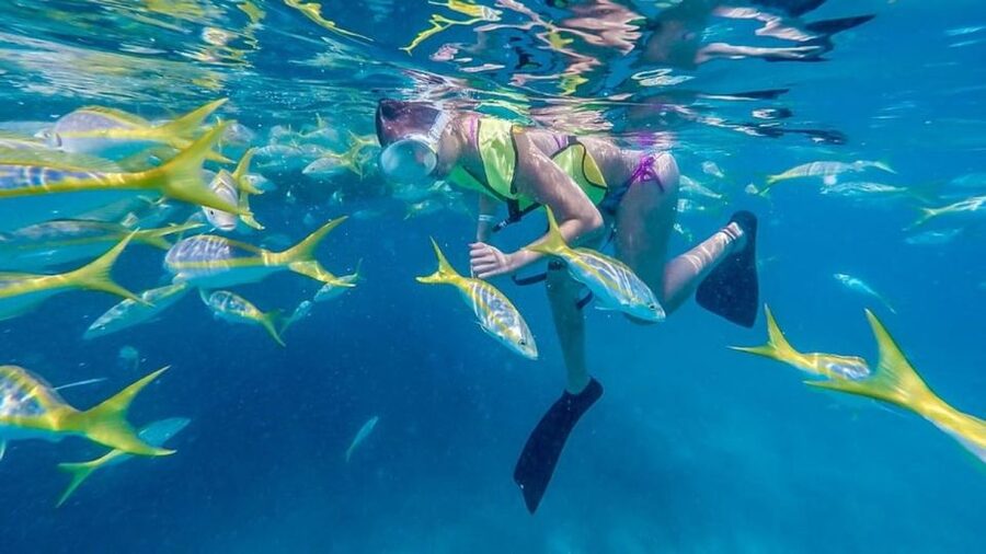 Key West: Afternoon Reef Snorkel Tour with Open Bar - Getting geared up and learning to snorkel the easy way