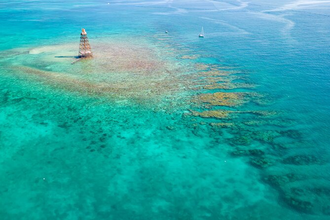 Key West Afternoon Reef Snorkeling with Open Bar - Key West Sandie Cat Dip & Sip highlights you’ll actually care about