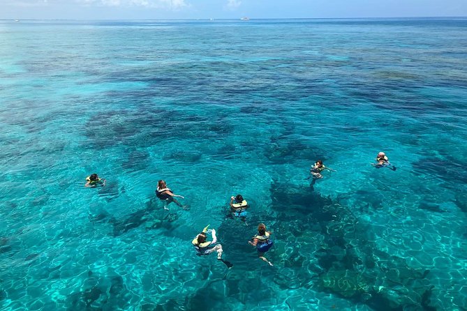 Key West Afternoon Reef Snorkeling with Open Bar - Crew energy, instruction, and small comfort details that make the day