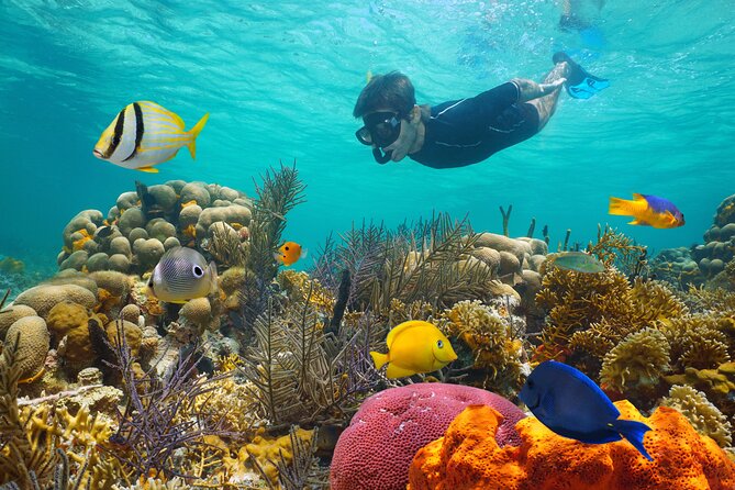 Key West Afternoon Reef Snorkeling with Open Bar - From check-in to sea vest: what happens before you hit the reef