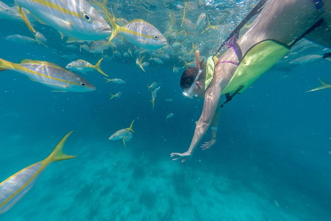 Key West Afternoon Snorkel Sail with Unlimited Cocktails! - Getting to the Reef: What the Offshore Ride Is Like