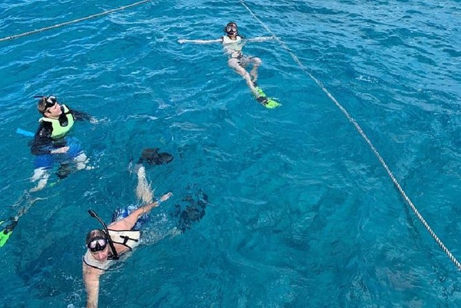 Key West Afternoon Snorkel Sail with Unlimited Cocktails! - Onboard Drinks and Timing: How the Bar Fits With Snorkeling Safety
