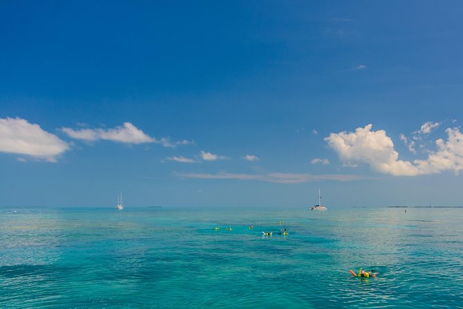 Key West Afternoon Snorkel Sail with Unlimited Cocktails! - Snorkel Gear, Crew Help, and What You’ll Want to Bring