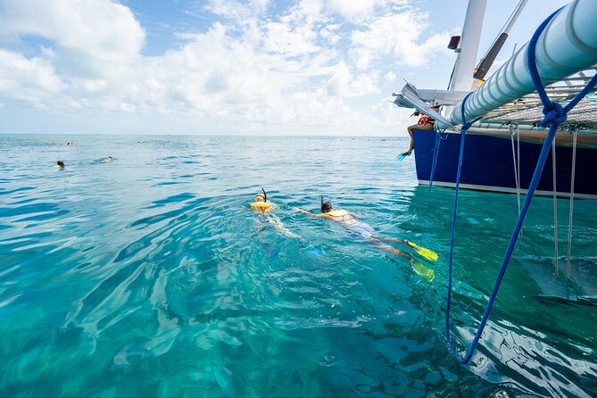 Key West Afternoon Snorkel Sail with Unlimited Cocktails! - The Trade-Offs: Crowds, Time in the Water, and Water Clarity