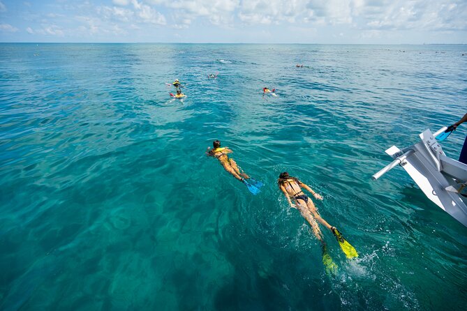 Key West Afternoon Snorkel Sail with Unlimited Cocktails! - The Florida Reef Moment: Shallow Water, Lots of Fish, Real Coral