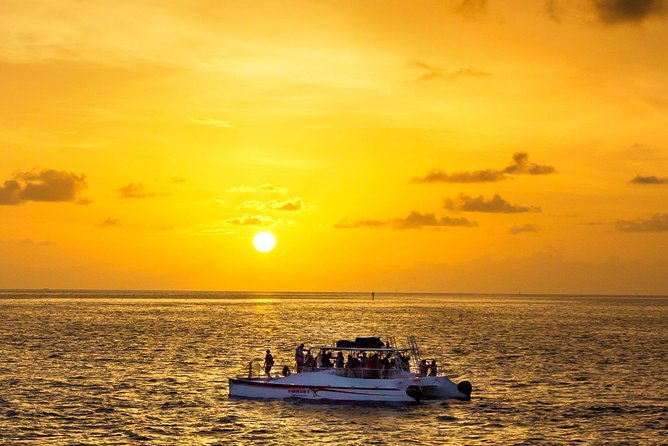 Key West Dolphin and Snorkel Experience - Key West Dolphin and Snorkel: Quick Hits Before You Go