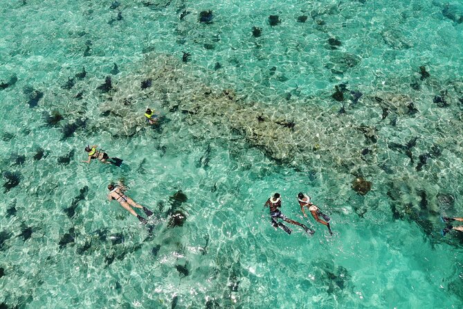 Key West Dolphin and Snorkel Experience - Entering the Water Day: Why This 3-Hour Combo Fits Key West